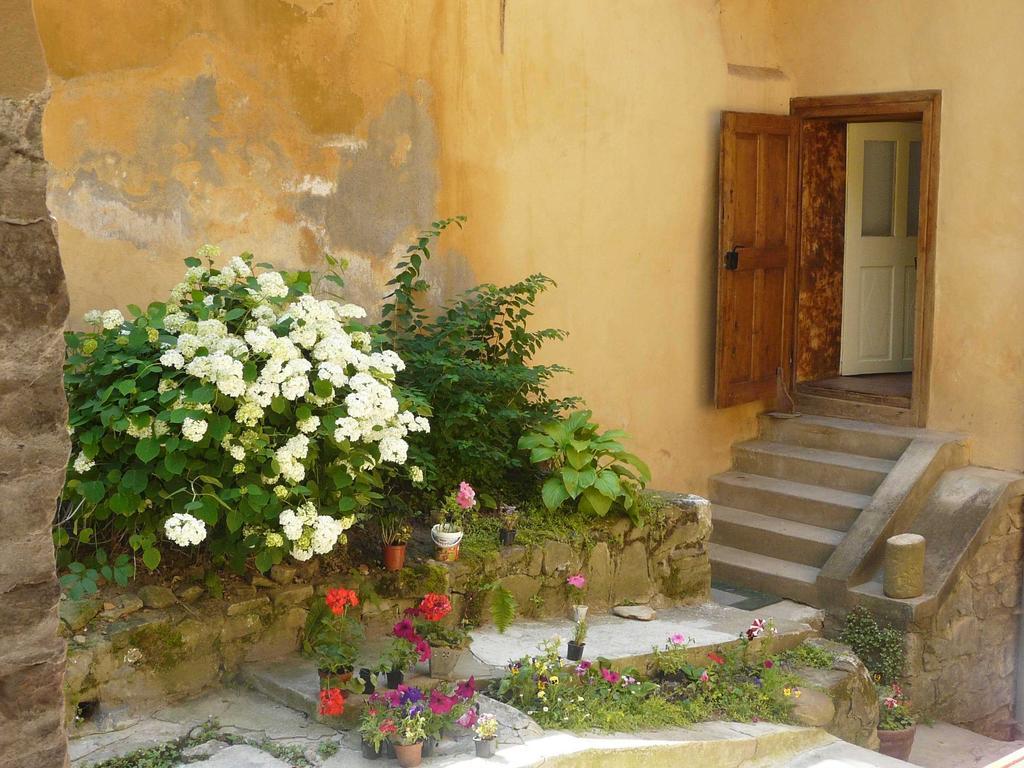 Casa Cojo Apartment Sighisoara Room photo